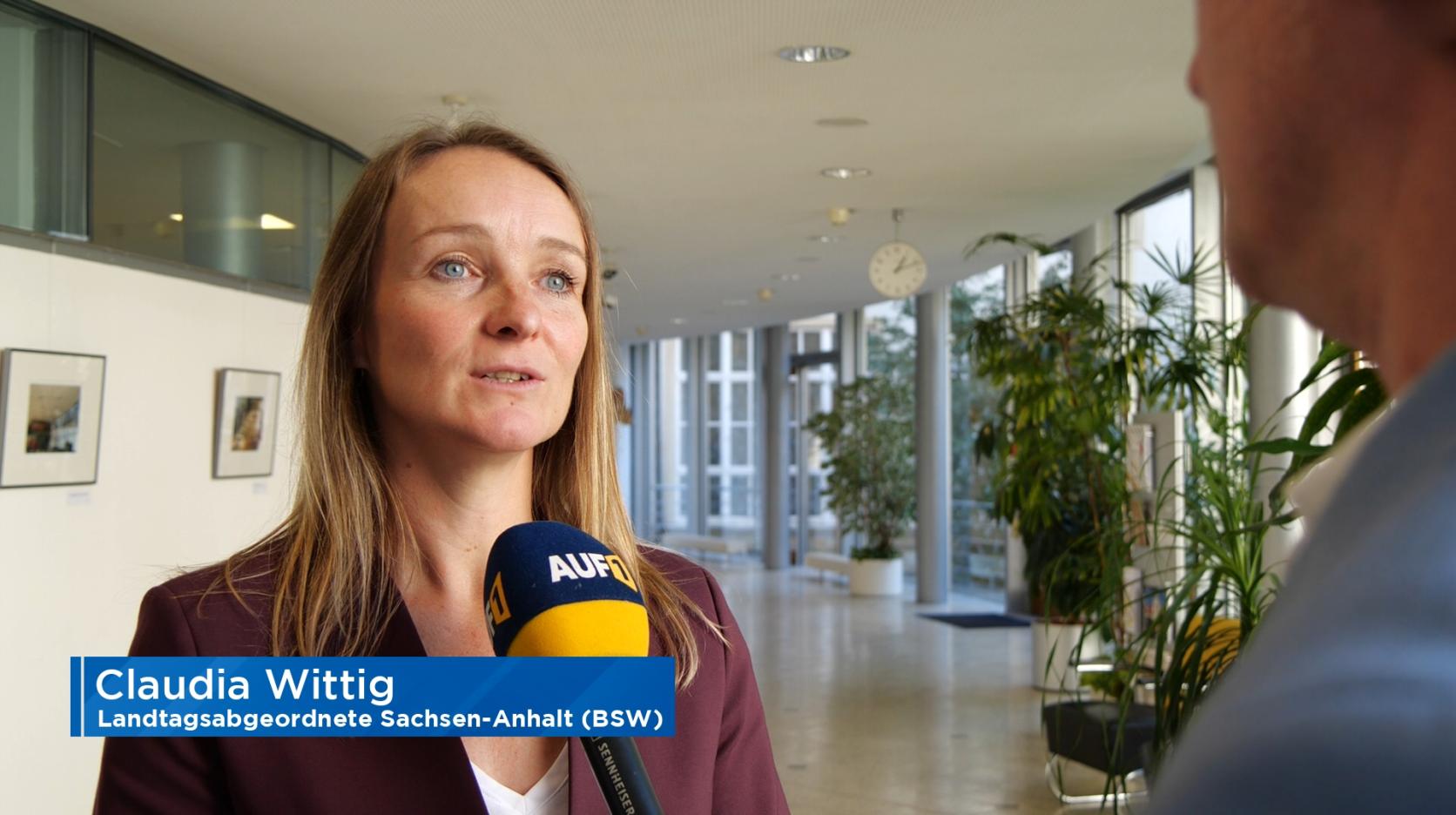 Claudia Wittig (BSW): Wir wollen die nächsten Wochen nutzen