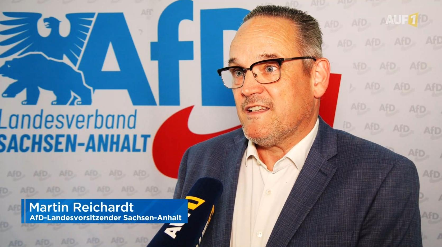 Wahl Sachsen-Anhalt: AfD-Landeschef Reichardt offen für Zusammenarbeit mit anderen Parteien