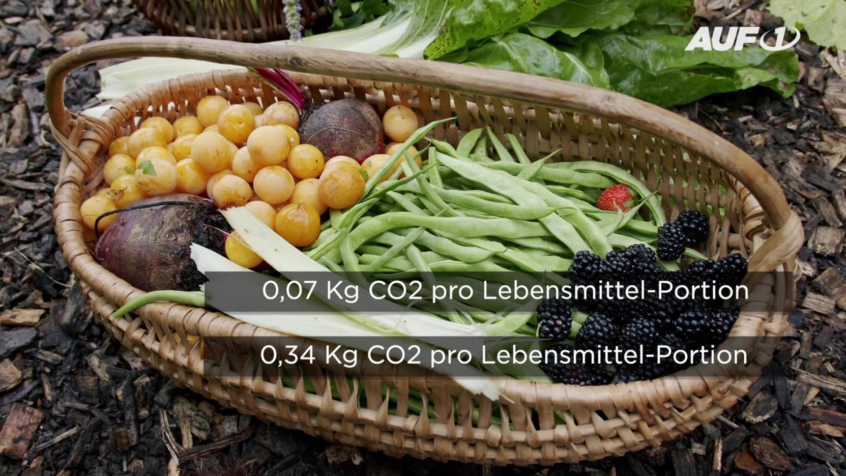 ⁣Nun soll sogar Gemüse aus eigenem Garten „klimaschädlich“ sein