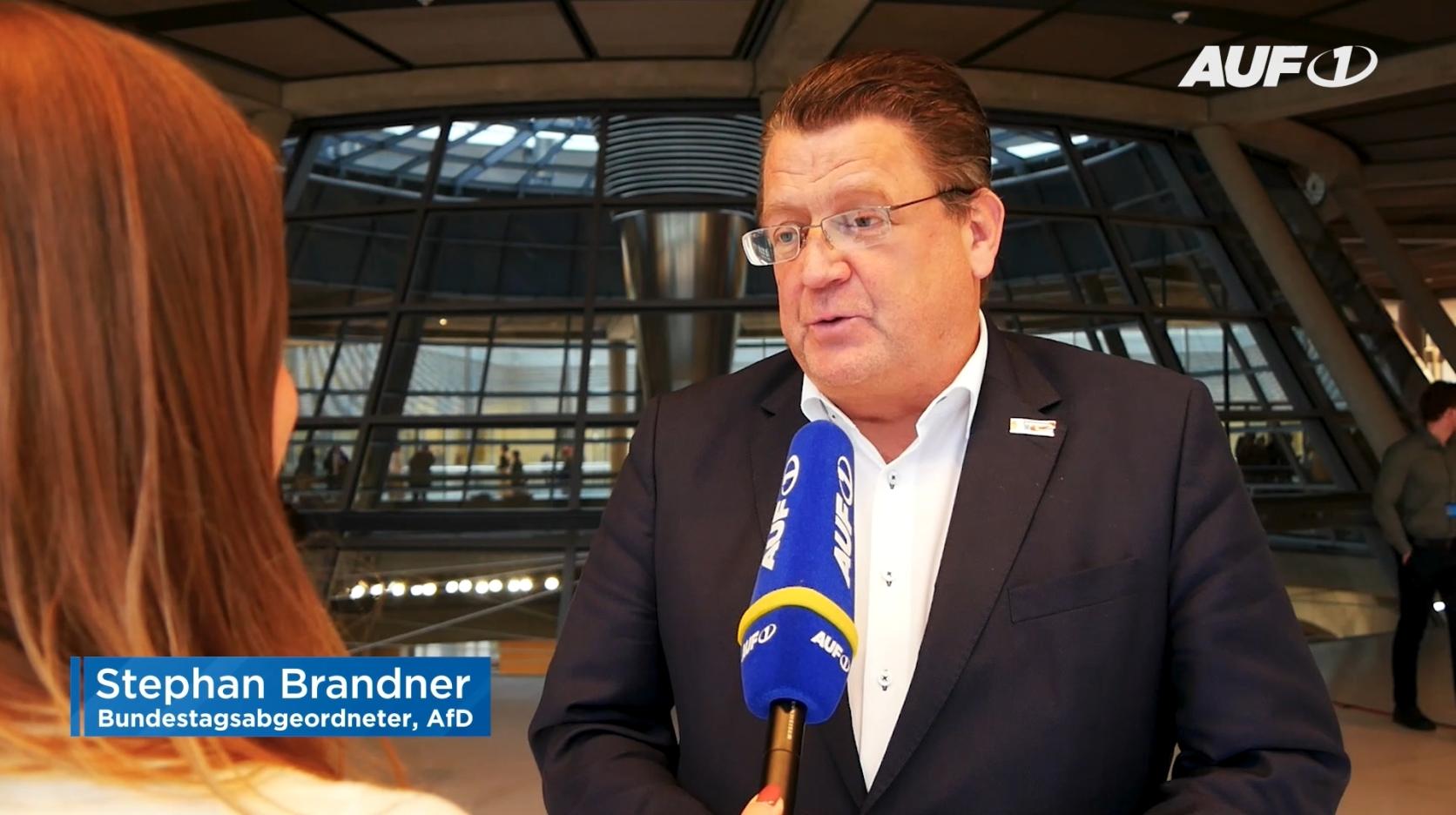 ⁣Brandner (AfD): Die Geheimdienste beeinflussen die Wahlen seit Jahren