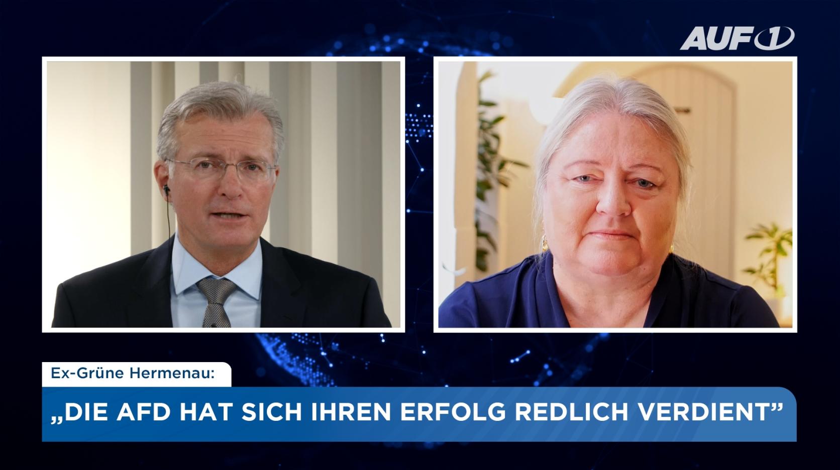 ⁣Ex-Grüne Hermenau: Deshalb sind die Ostwahlen ein Beben