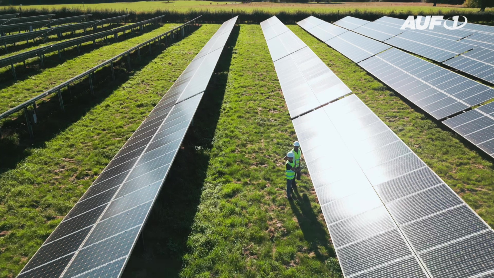 ⁣Natur-Zerstörung: Linz will in Naherholungsgebiet riesigen Solarpark errichten