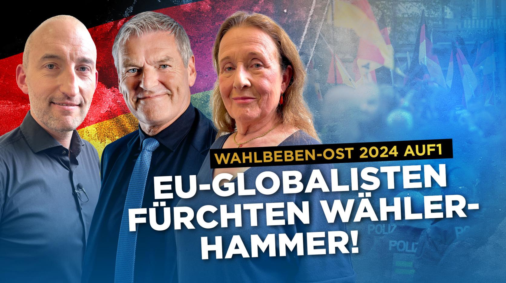 ⁣Die EU-Globalisten fürchten den Wähler-Hammer!